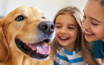 Are Dog Wellness Plans Worth the Investment?