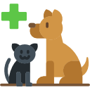 veterinary